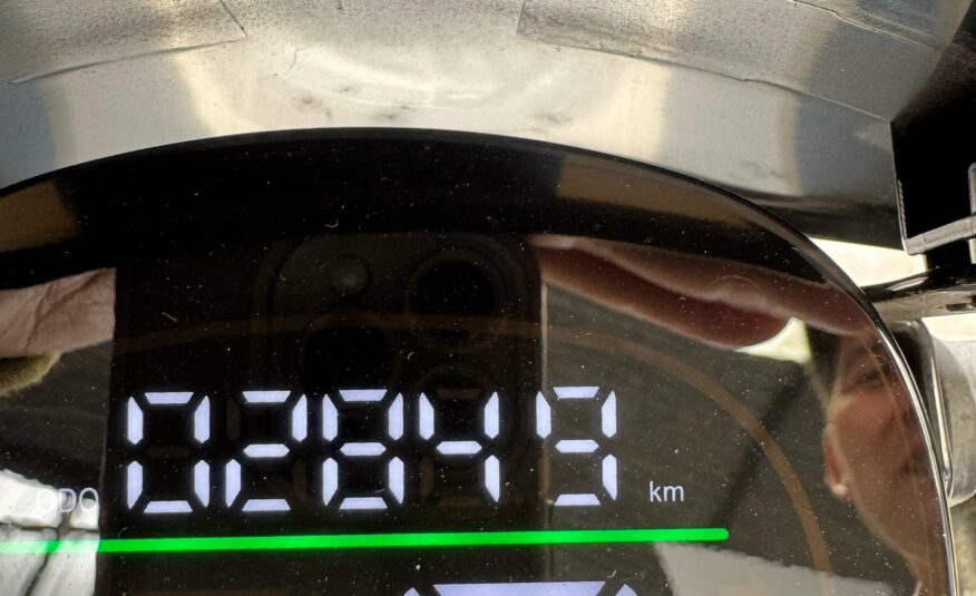 TAILAG – PIONEER EV