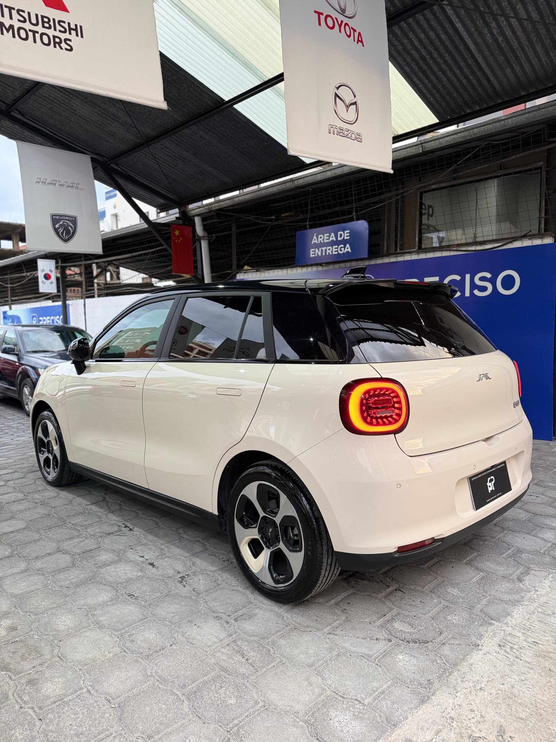 JAC – E30X HGS AC TA EV