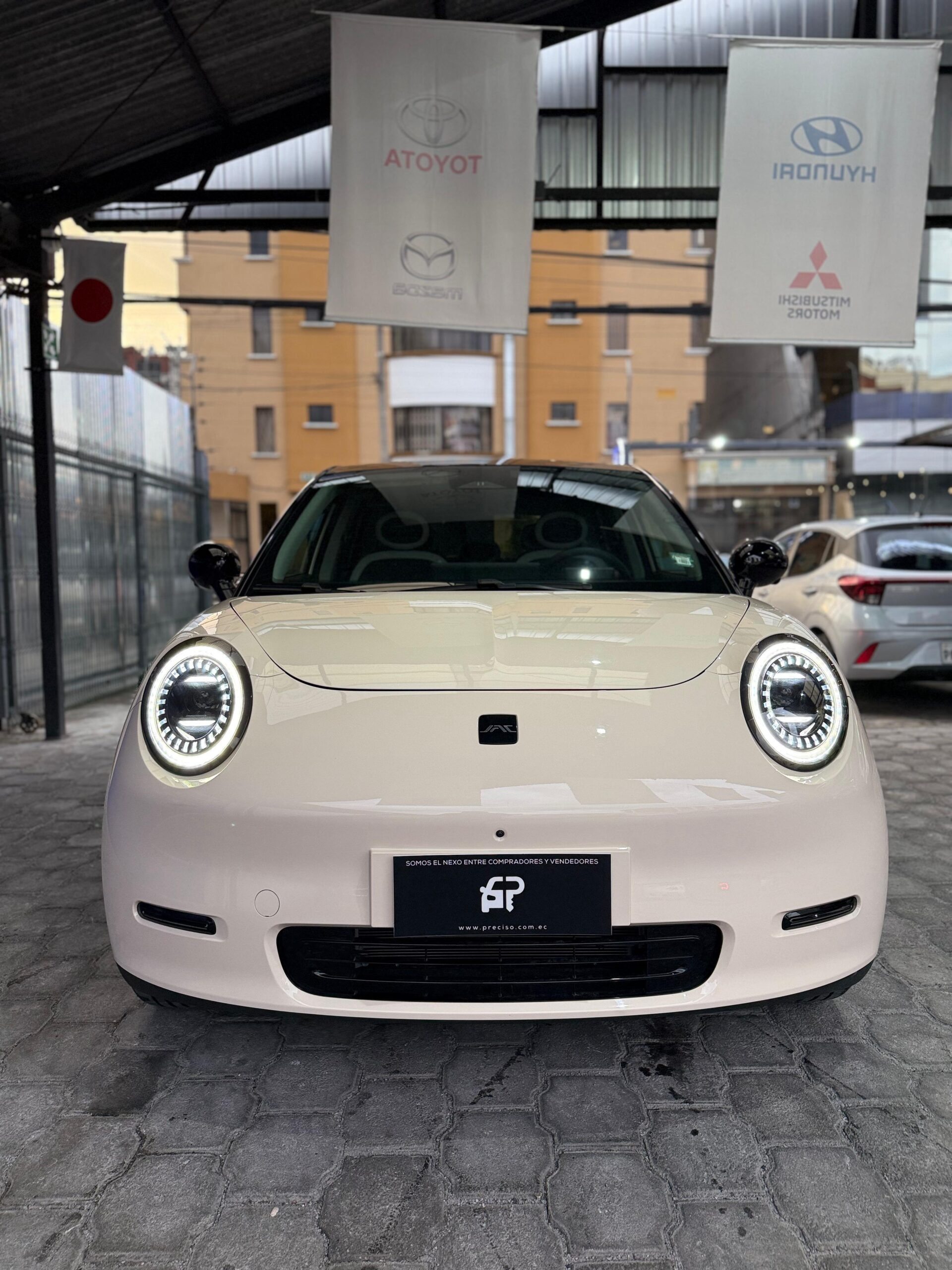 JAC – E30X HGS AC TA EV