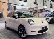 JAC – E30X HGS AC TA EV