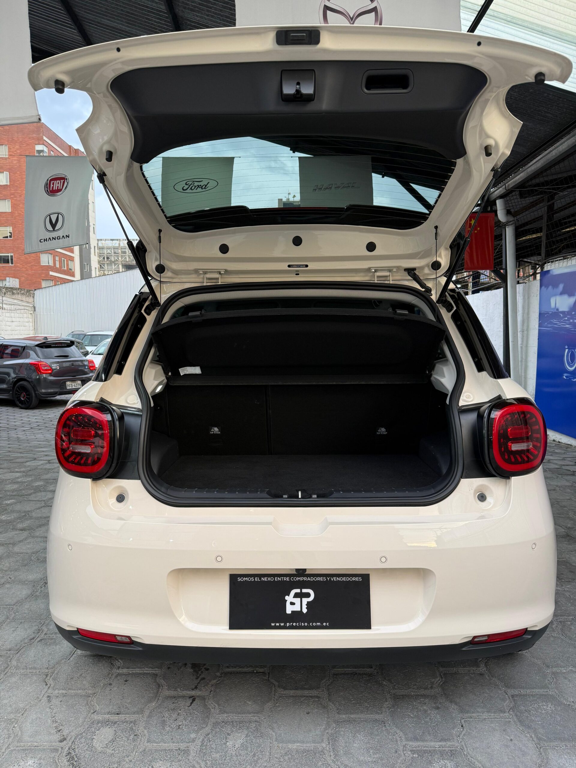 JAC – E30X HGS AC TA EV